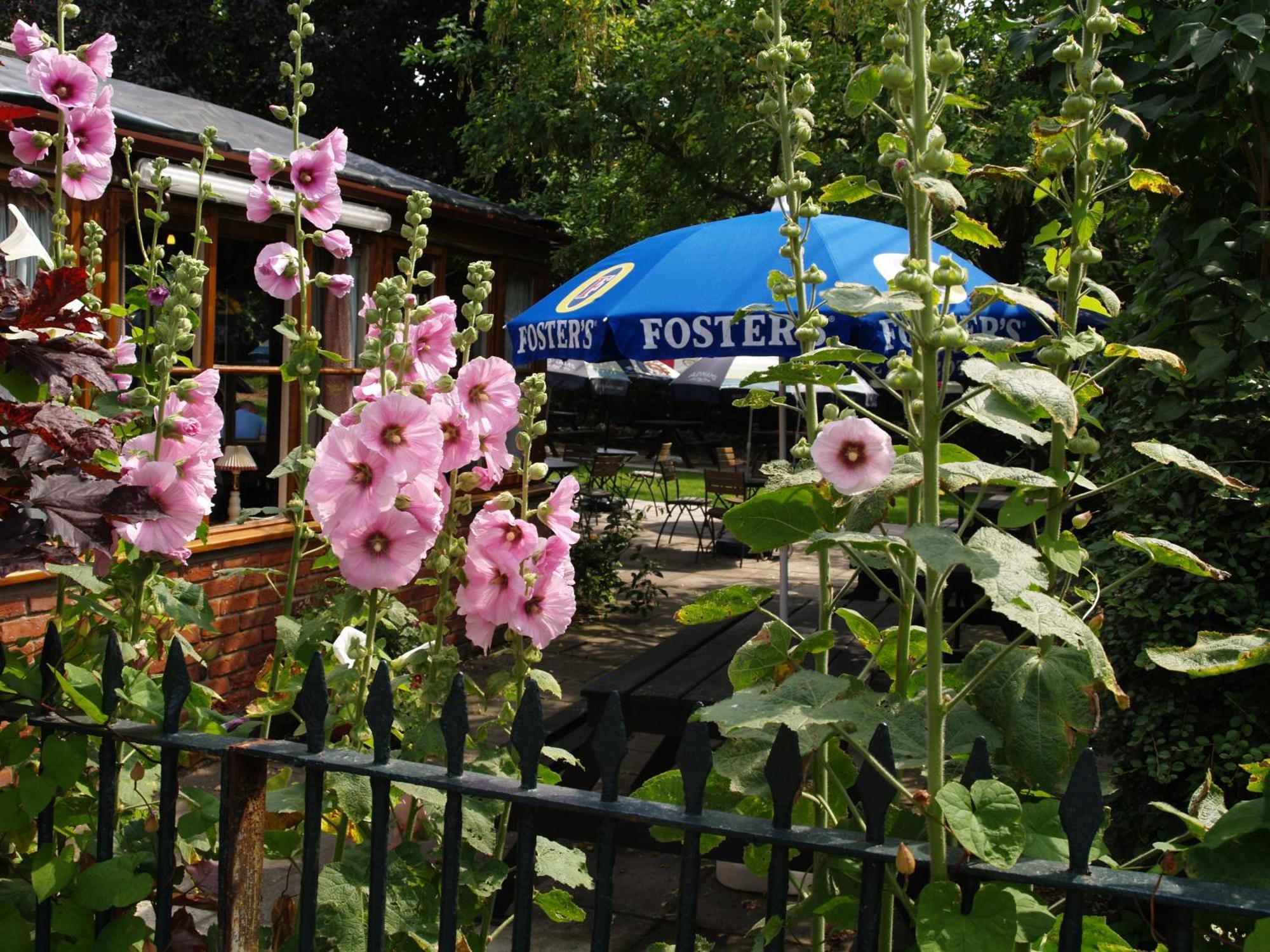 The Olde Windmill Inn Great Cressingham Zewnętrze zdjęcie